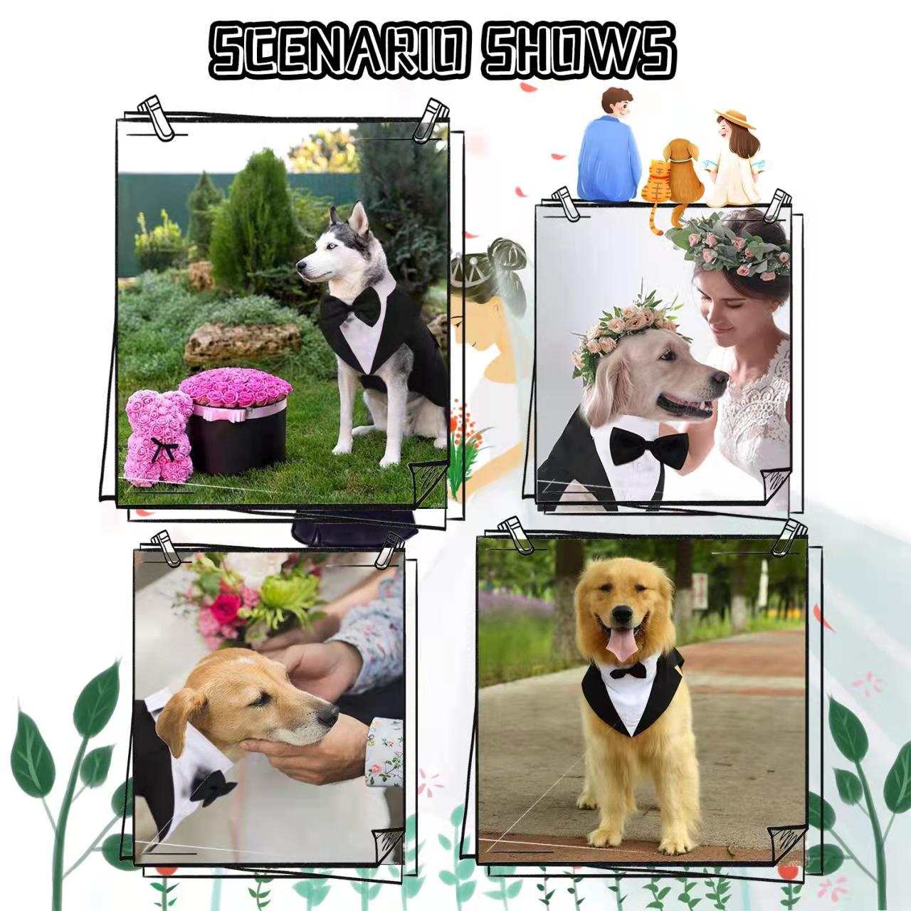 Dog Tuxedo Formal Dog Suit and Bandana Set