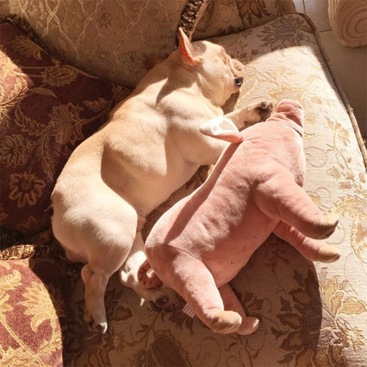 Pet Dogs Toys Accompany Sleeping Pigs