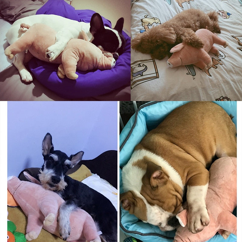 Pet Dogs Toys Accompany Sleeping Pigs