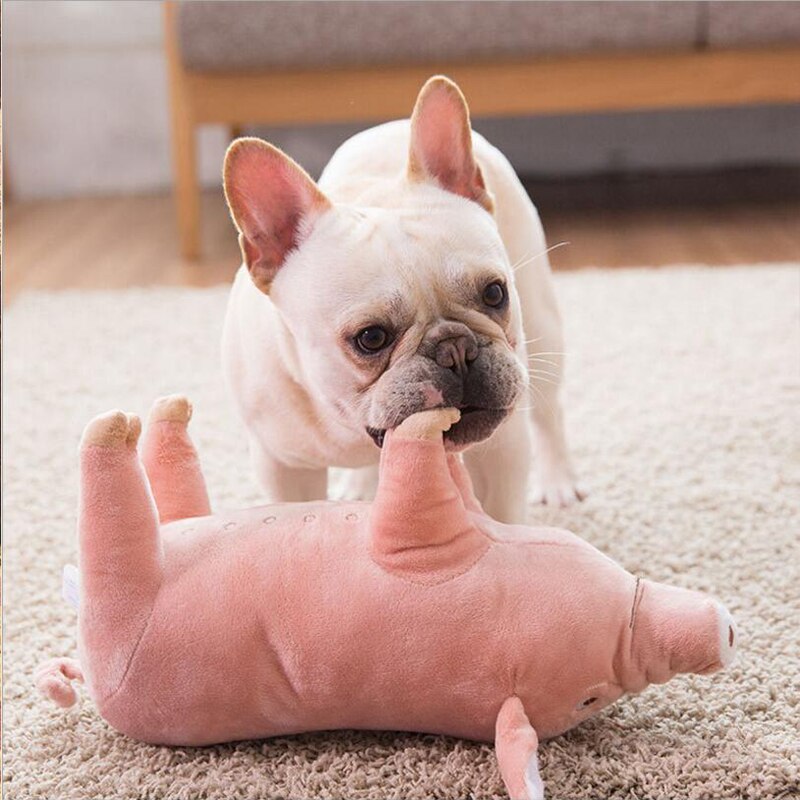 Pet Dogs Toys Accompany Sleeping Pigs