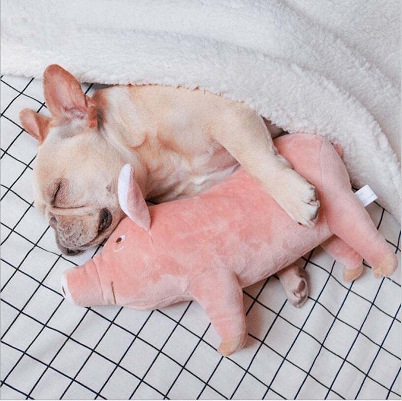 Pet Dogs Toys Accompany Sleeping Pigs