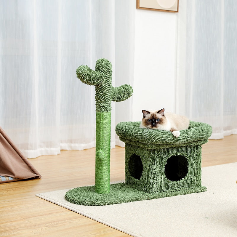 Cute Cactus Pet Cat Tree Toy with Ball Scratching Fast Delivery 2-7days